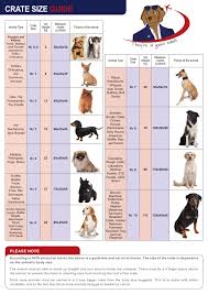 Dog Cat Crate Size Chart Download Printable Pdf