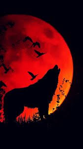 Find the best wolf howling at the moon wallpaper on wallpapertag. Wolf Samsung Galaxy S4 S5 Note Sony Xperia Z Z1 Z2 Z3 Htc One Lenovo Vibe Wallpapers Hd Desktop Backgrounds 1080x1920 Images And Pictures