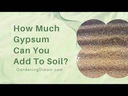 how much gypsum can you add to soil
