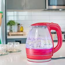 Electric Kettle With Filter