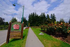 Rose Garden In Stanley Park Vancouver