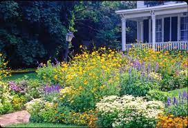Wildflowers Along House Google Search