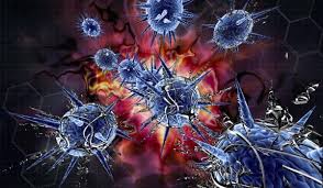 Imagini pentru Cum actioneaza anticorpii