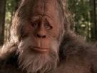 Harry and the Hendersons