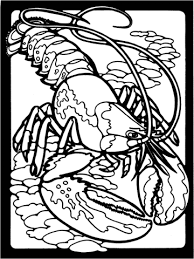 Click on the download buttonk below to download a pdf version of this coloring printout file name: Clawed Lobster Coloring Page Free Printable Coloring Pages Coloring Pages Free Printable Coloring Pages Coloring Pictures