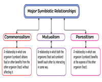 Symbiosis Worksheets