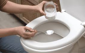 How To Get Rid Of Toilet Ring 12 Easy