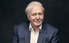 The screenings website of david attenborough: David Attenborough At 90 I Think About My Mortality Every Day