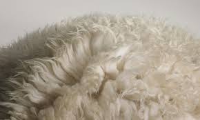 how to care for your sheepskin rug