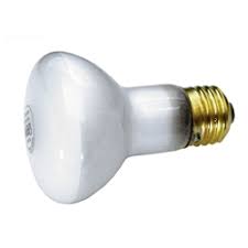 R0450505 Pool Light Bulb 60w 120v