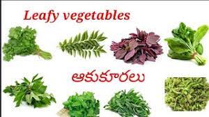 leafy vegetables names in telugu
