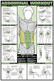 Free Workout Routines To Build Muscle Exercise Fitness