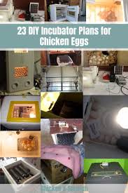 23 diy incubator plans for en eggs