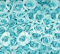 See more ideas about imagine fundaluri wallpaper pentru telefon. Blue Roses Tumblr Quotes Pin By Fefe Mya On Poze De Fundal Blue Roses Wallpaper Blue Dogtrainingobedienceschool Com