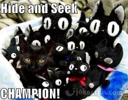 Quality bongo cat memes for 20 minutes.disclaimer: Joke4fun Memes Hide And Seek