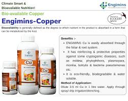 liquid engimins copper bio available