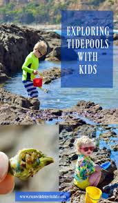 exploring tide pools