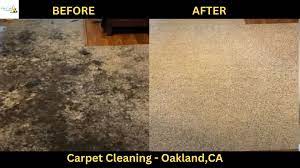 gallery carpet cleaning oakland ca