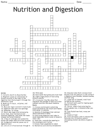 nutrition and digestion crossword