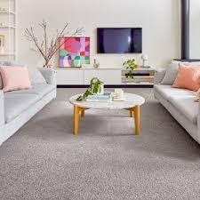 solution d nylon carpet redbook search