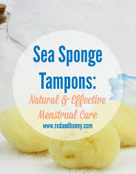 sea sponge tons natural effective