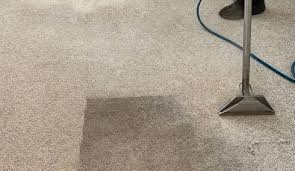 portable extraction carpet cleaning in
