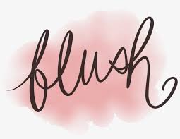 blush makeup artistry logo blush logo