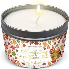 Amazon.com: Magnificent 101 MANIFESTING A Gratitude State of Mind Tin  Candle 6oz : Health & Household