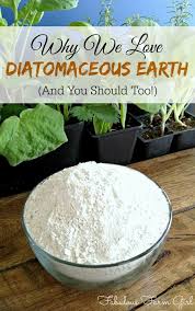 we love diatomaceous earth and you