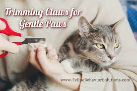 t claws for gentle paws feline