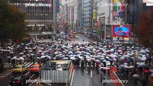 雨の日の渋谷スクランブル交差点 写真素材 [ 6660936 ] - フォトライブラリー photolibrary