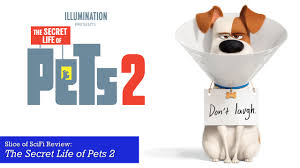 The biggest problem with the secret life of pets is that you're never given enough to truly latch on and care about any of the characters. The Secret Life Of Pets 2 Is Weak In Spots But Still Funny And Clever Slice Of Scifi