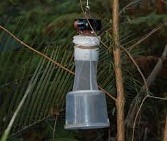 co2 mosquito traps help or hype