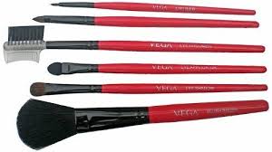 vega set of 6 make up brushes ebay
