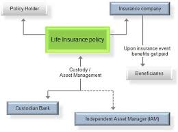 Life Insurance Wikiwand
