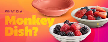 what is a monkey dish webstaurant