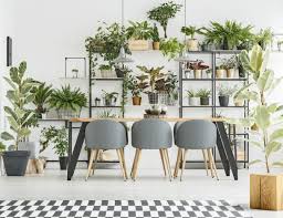 the power of plants in interior design