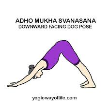 Yoga Poses Asana List With Images Yogic Way Of Life