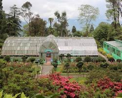 Darjeeling Botanical Garden