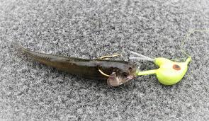 Best Walleye Lures Right Now Plastic