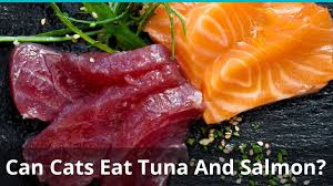 Cats lovecured meats, but you have to restrict how much and how often they eat them because they contain excessive amounts of salt or pepper. Can Cats Eat Tuna And Salmon Safely The Answer May Surprise You