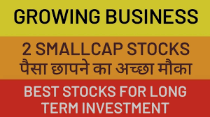 2 smallcap stocks for long term