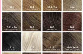 Phyto Hair Color Reviews Sbiroregon Org