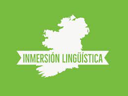 Programa de inmersión lingüística, Galway, Irlanda | Valladolid