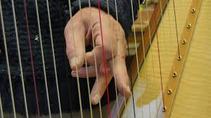 How To Identify Harp Strings A Guide Teifi Harps