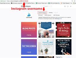 8 Instagram Profile Ideas For An Attractive Profile That