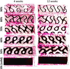 porous additively manufactured implants