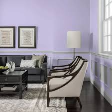 Purple Dragon Semi Gloss Interior Paint