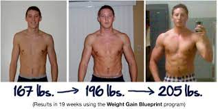 weight gain program for skinny guys