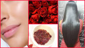 how-can-i-use-rose-oil